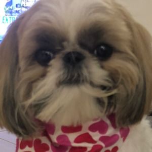 Meet your Posher, Jodi